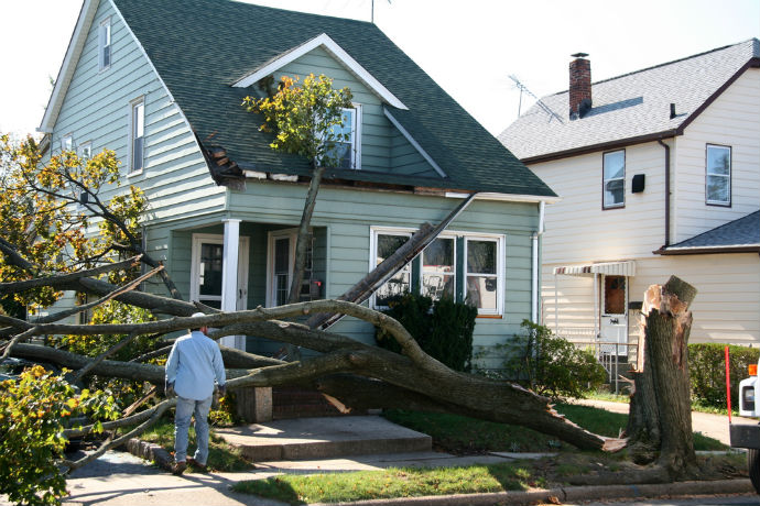 Six Tips for Landscape Recovery after Storm Damage